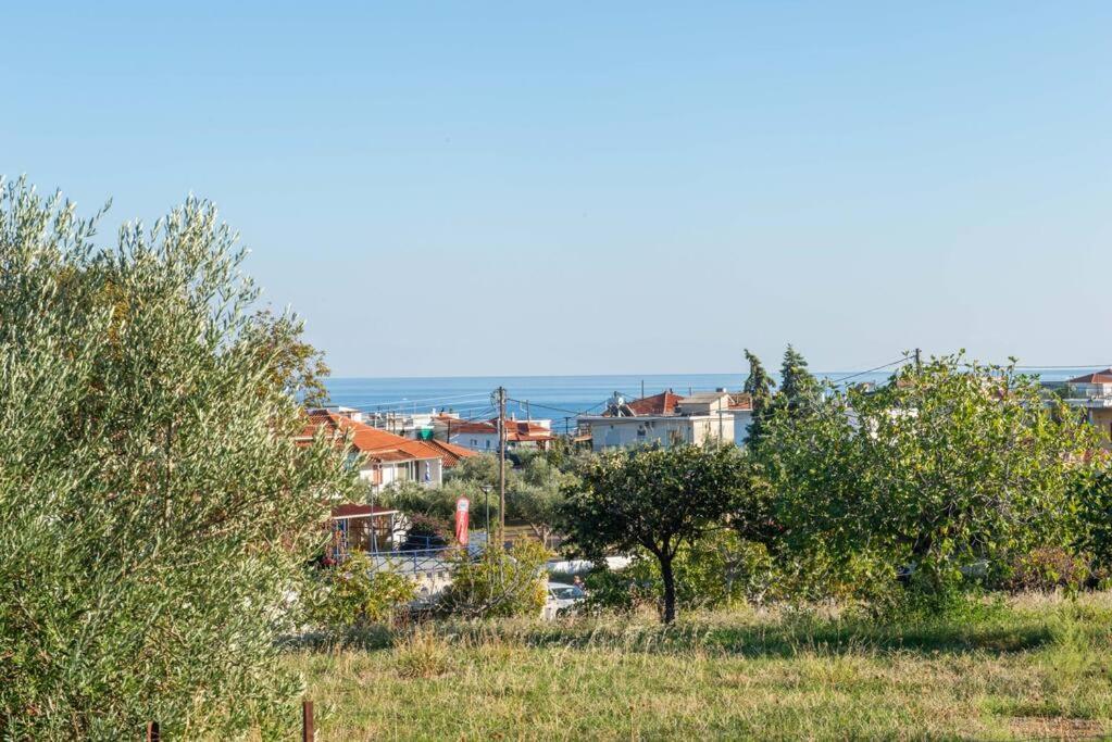Όμορφο Παραθασυγκρότημα Ενοικιαζόμενων Καταλυμάτων Ως Ολόκληρος Χώρος - Chrani, Ελλάδαλάσσιο Διαμέρισμα Luaran gambar